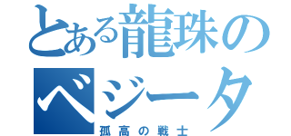 とある龍珠のベジータ（孤高の戦士）