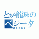 とある龍珠のベジータ（孤高の戦士）