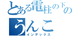 とある電柱の下のうんこ（インデックス）