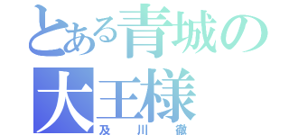 とある青城の大王様（及川徹）