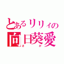 とあるリリィの向日葵愛♡（さか）