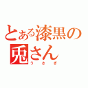 とある漆黒の兎さん（うさぎ）