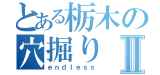 とある栃木の穴掘りⅡ（ｅｎｄｌｅｓｓ）