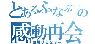 とあるふなぶーの感動再会（お帰りふなぶー）