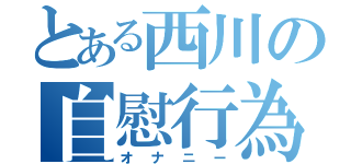 とある西川の自慰行為（オナニー）