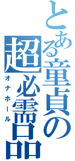 とある童貞の超必需品（オナホール）