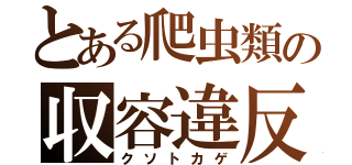 とある爬虫類の収容違反（クソトカゲ）