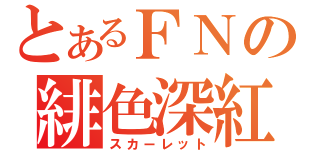 とあるＦＮの緋色深紅（スカーレット）