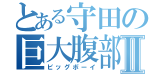 とある守田の巨大腹部Ⅱ（ビッグボーイ）