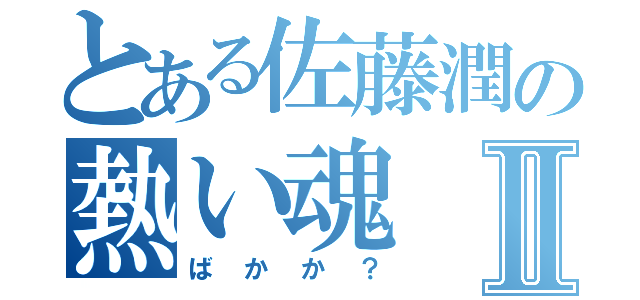 とある佐藤潤の熱い魂Ⅱ（ばかか？）