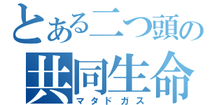 とある二つ頭の共同生命（マタドガス）