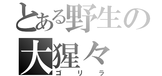 とある野生の大猩々（ゴリラ）