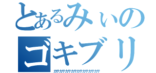 とあるみぃのゴキブリ退治（カサカサカサカサカサカサカサカサ）