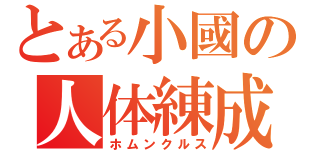 とある小國の人体練成（ホムンクルス）