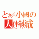 とある小國の人体練成（ホムンクルス）