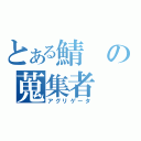 とある鯖の蒐集者（アグリゲータ）