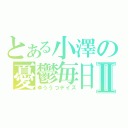 とある小澤の憂鬱毎日Ⅱ（ゆううつデイズ）