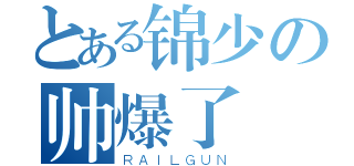 とある锦少の帅爆了（ＲＡＩＬＧＵＮ）