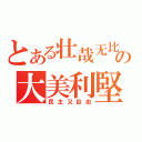 とある壮哉无比の大美利堅（民主又自由）