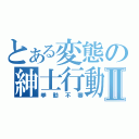 とある変態の紳士行動Ⅱ（挙動不審）