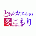 とあるカエルの冬ごもり（引きこもりたい宣言）