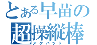 とある早苗の超操縦棒（アケパッド）