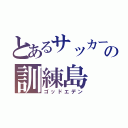 とあるサッカーの訓練島（ゴッドエデン）