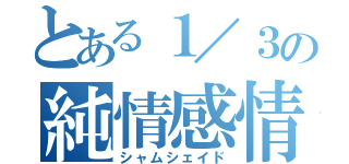 とある１／３の純情感情（シャムシェイド）