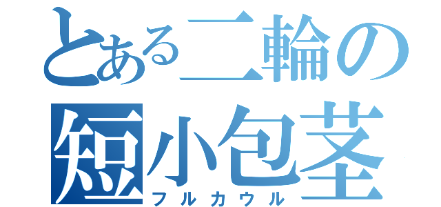 とある二輪の短小包茎（フルカウル）