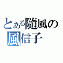 とある隨風の風信子（）