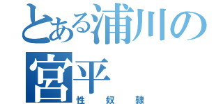 とある浦川の宮平（性奴隷）