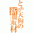 とある天狗の新聞取材（パパラッチ）