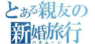 とある親友の新婚旅行（ハネムーン）