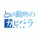 とある動物のカピバラ（安井悠輔）