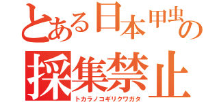 とある日本甲虫の採集禁止（トカラノコギリクワガタ）