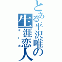 とある平沢唯の生涯恋人（ギー太）