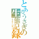 とあるうさぎの生態記録（エコロジーレポート）