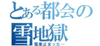 とある都会の雪地獄（電車止まった…）