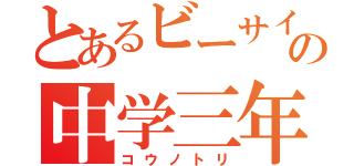 とあるビーサイの中学三年（コウノトリ）