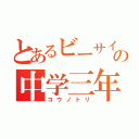 とあるビーサイの中学三年（コウノトリ）