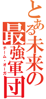 とある未来の最強軍団（チーム・オーガ）