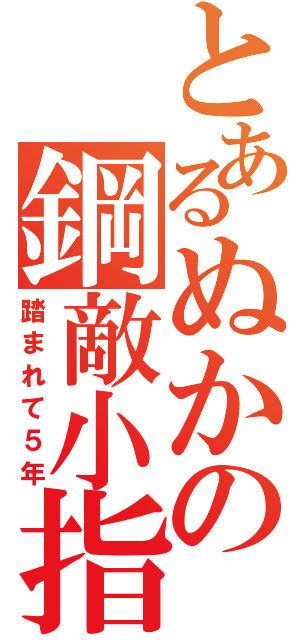 とあるぬかの鋼敵小指（踏まれて５年）