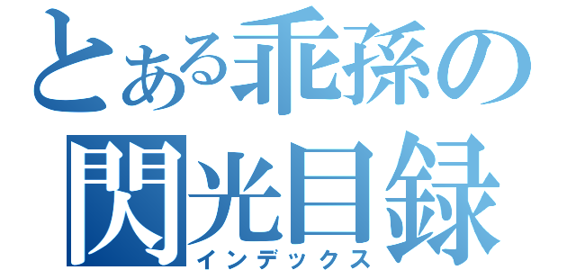 とある乖孫の閃光目録（インデックス）