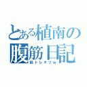 とある植南の腹筋日記（筋トレキツｗ）