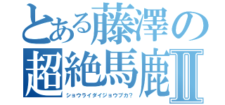 とある藤澤の超絶馬鹿Ⅱ（ショウライダイジョウブカ？）