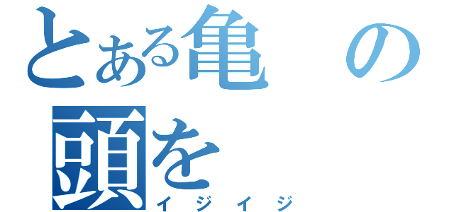 とある亀の頭を（イジイジ）