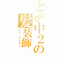 とある中２の髪装飾（へア アイロン）