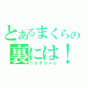 とあるまくらの裏には！・・・（うさぎちゃん）