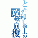 とある純正術士の攻撃回復（）