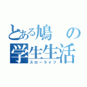 とある鳩の学生生活（スローライフ）